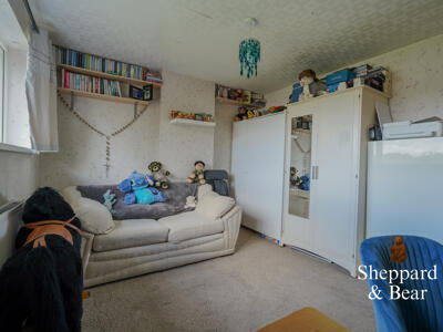 Picture 14